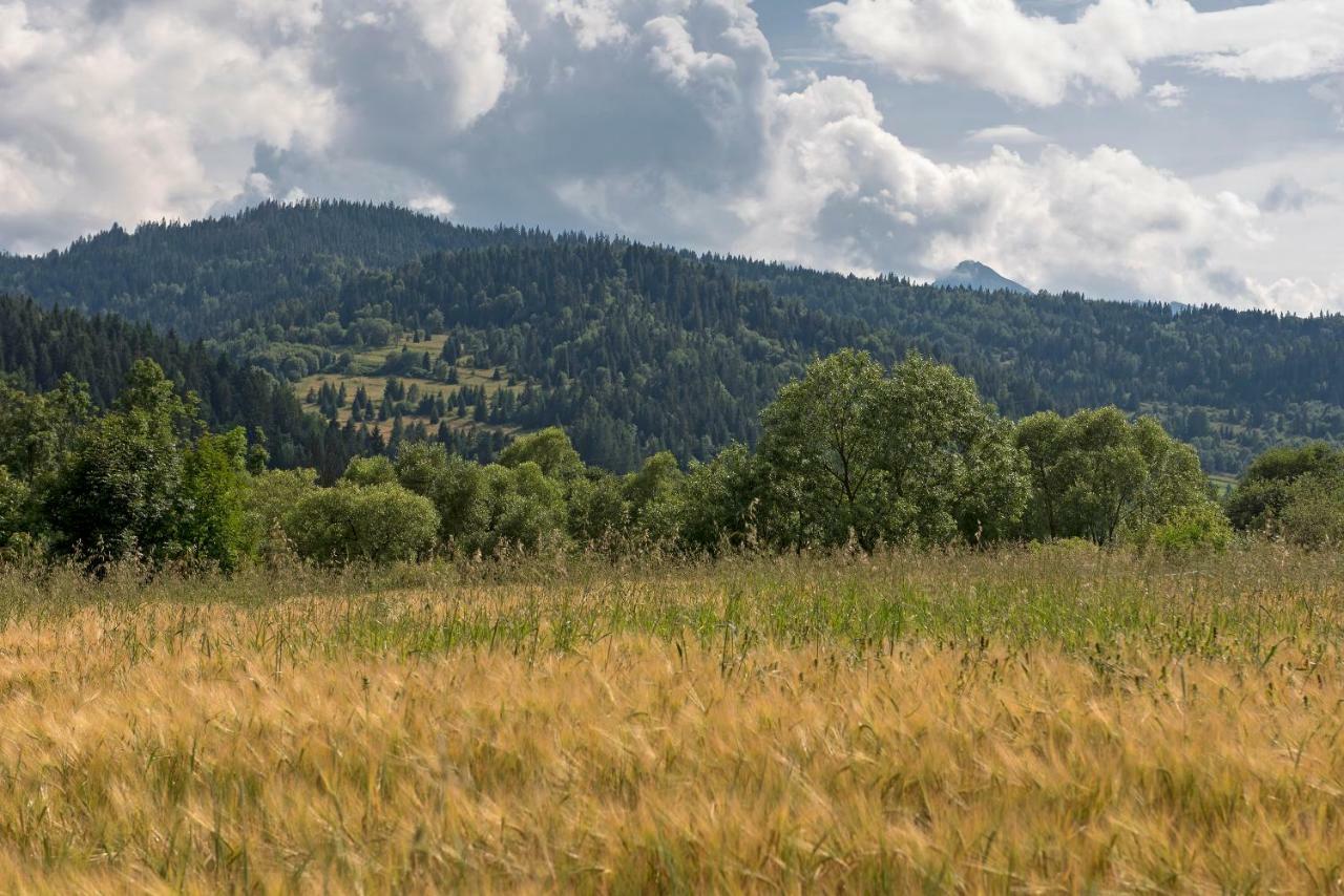 Domki U Kromki Kacwin Exteriér fotografie